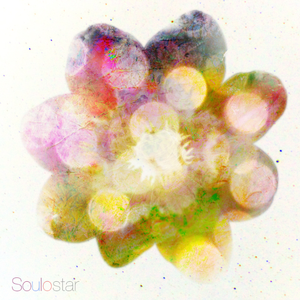 波多野结衣被爆过菊吗
